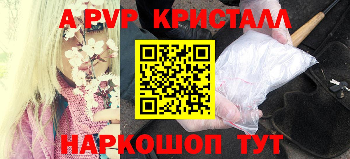 Alfa_PVP СК КРИС Избербаш