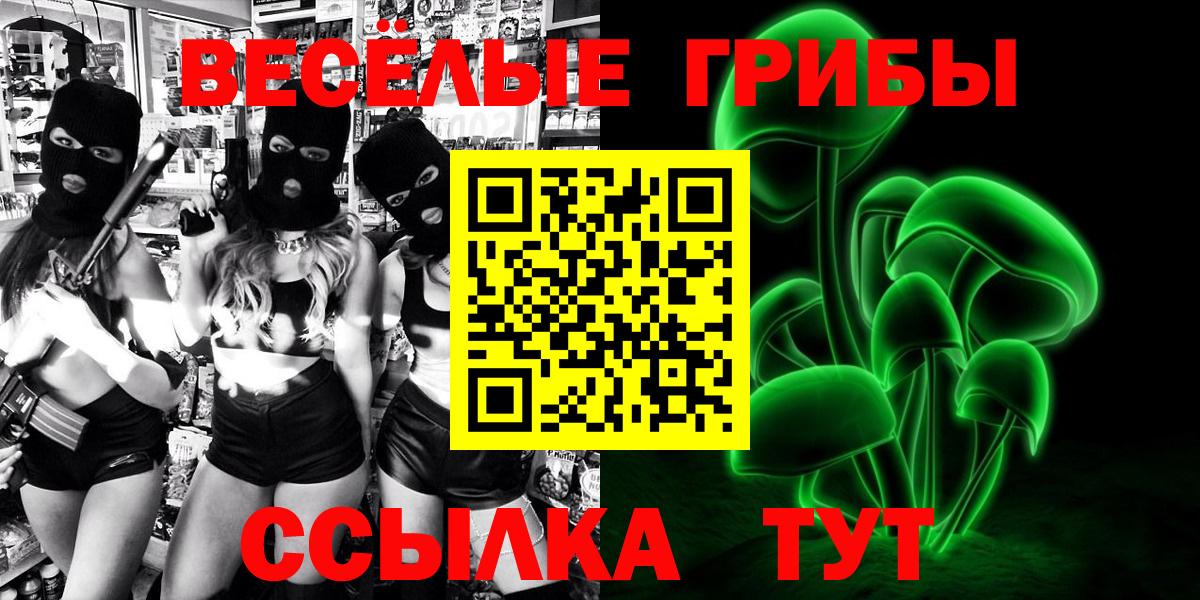 Галлюциногенные грибы Psilocybine cubensis  купить  сайты  Вход с VPN  Избербаш  Псилоцибиновые грибы Psilocybine cubensis 
